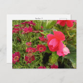 Flower Power - 9 Postkarte (Vorne/Hinten)