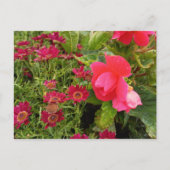 Flower Power - 9 Postkarte (Vorderseite)