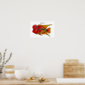 Flowerhorn cichlid fish cartoon illustration poster (Küche)
