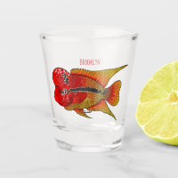 Flowerhorn cichlid fish cartoon illustration