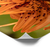 Flowering Petals Poster (Ecke)