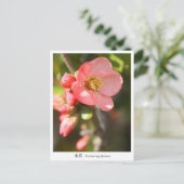 Flowering quince postkarte (Stehend Vorderseite)