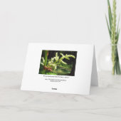 Flowering Rhubarb Stalks Blank Card Karte (Rückseite)