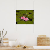 Flowering water lilies poster (Küche)