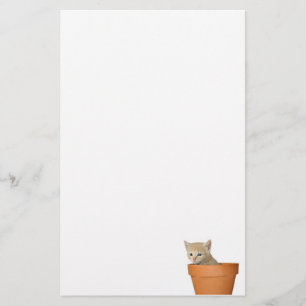 Flowerpotkätzchen Briefpapier