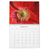 Flowers 2026 a Calendar Kalender (Jan 2027)