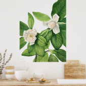 Flowers 3 poster (Küche)