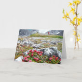 Flowers among Rocks Karte (Gelbe Blume)