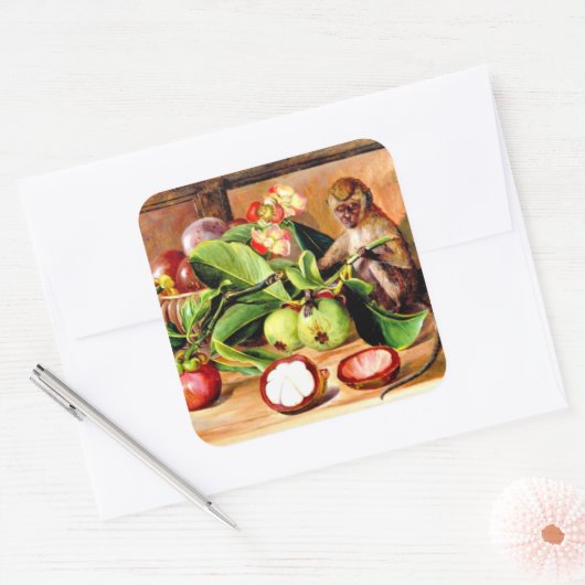 Flowers and fruit of Mangosteen; Singapore Monkey Quadratischer Aufkleber (Umschlag)