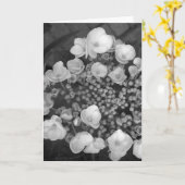 Flowers B&W Karte (Gelbe Blume)