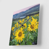 Flowers | Balsomroot Columbia River, Oregon Quadratische Wanduhr (Winkel)