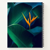 Flowers Bird of Paradise Notizblock (Rückseite)