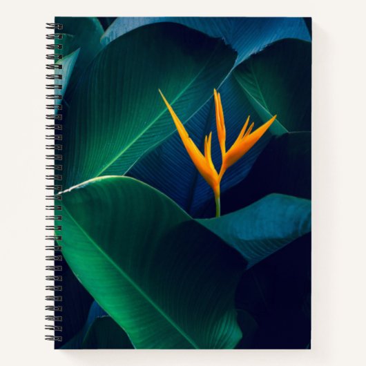 Flowers Bird of Paradise Notizblock (Vorderseite)