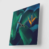Flowers | Bird of Paradise Quadratische Wanduhr (Winkel)