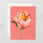 Flowers | Coral Peony Blossom Postkarte (Vorne/Hinten)