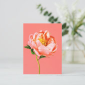 Flowers | Coral Peony Blossom Postkarte (Stehend Vorderseite)