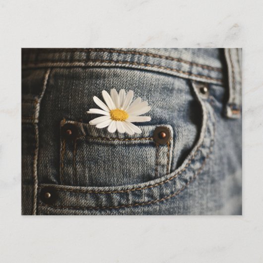 Flowers | Daisy in Jeans Pocket Postkarte (Vorderseite)