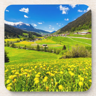 Flowers Dandelion Kanton Graubünden, Switzerland Getränkeuntersetzer