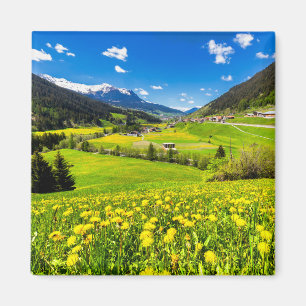 Flowers Dandelion Kanton Graubünden, Switzerland Magnet