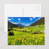 Flowers Dandelion Kanton Graubünden, Switzerland Postkarte (Vorne/Hinten)