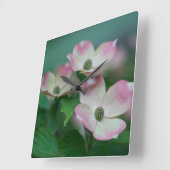 Flowers | Dogwood Blossoms Quadratische Wanduhr (Winkel)