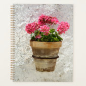 Flowers | Geranium In Flower in Pot Planer (Vorderseite)