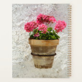 Flowers | Geranium In Flower in Pot Planer (Rückseite)