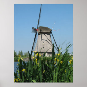 Flowers & Holland Windmill Photo Poster Print