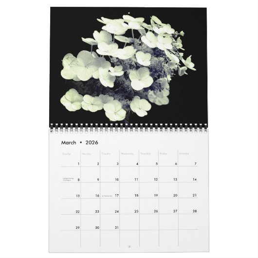 Flowers In Black And White Kalender (Mär 2026)