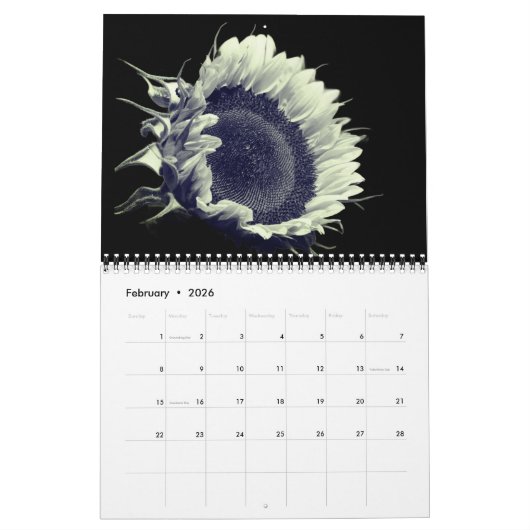 Flowers In Black And White Kalender (Feb 2026)