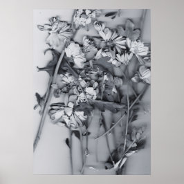 Flowers in Black and White Poster