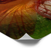 Flowers in ice poster (Ecke)