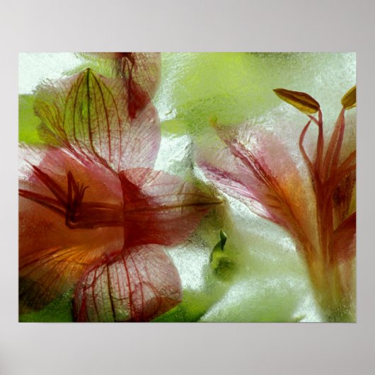 Flowers in ice poster (Vorne)