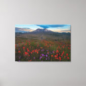 Flowers | Indian Paintbrush & Penstemon Leinwanddruck (Vorderseite)