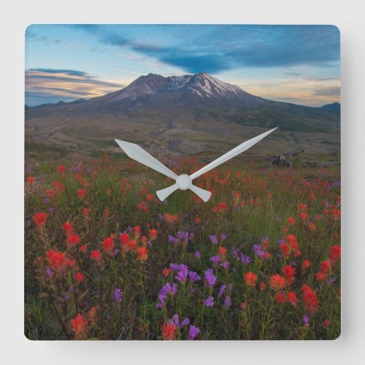 Flowers | Indian Paintbrush & Penstemon Quadratische Wanduhr (Vorderseite)