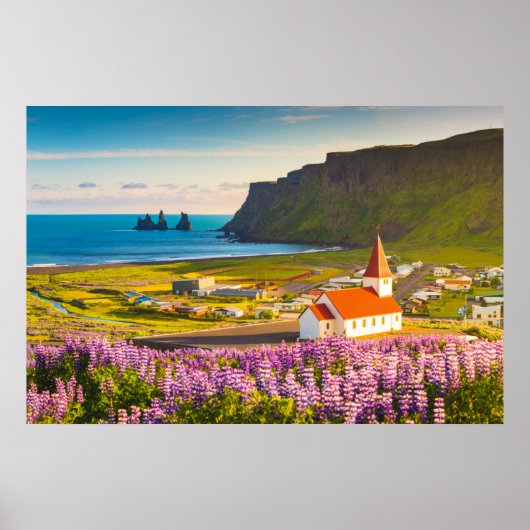 Flowers | Lupines in Bloom Southern Iceland Poster (Vorne)