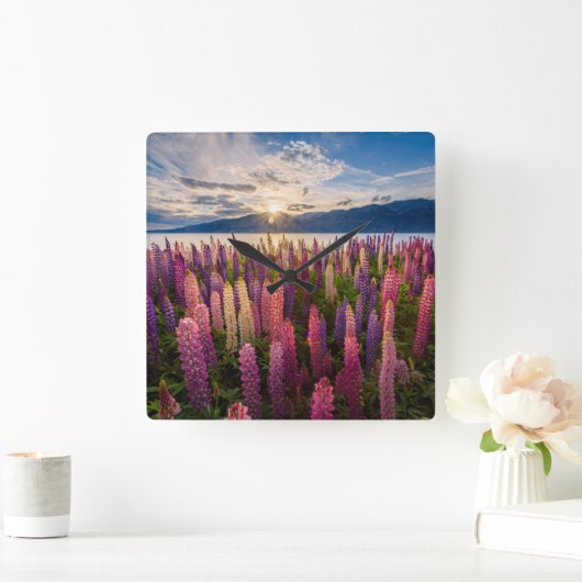 Flowers | Lupines New Zealand Quadratische Wanduhr (Zuhause)
