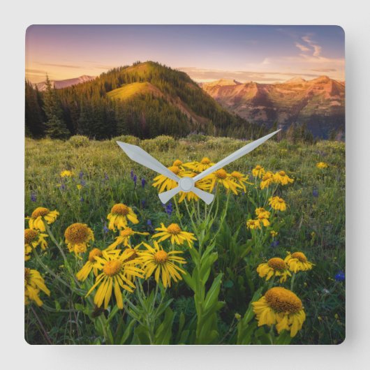 Flowers | Mountain Meadow Crested Butte Colorado Quadratische Wanduhr (Vorderseite)