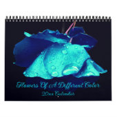 Flowers Of A Different Color Kalender (Titelbild)