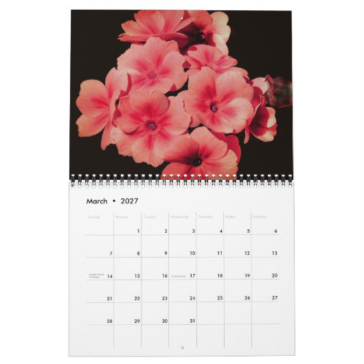 Flowers Of A Different Color Kalender (Mär 2027)
