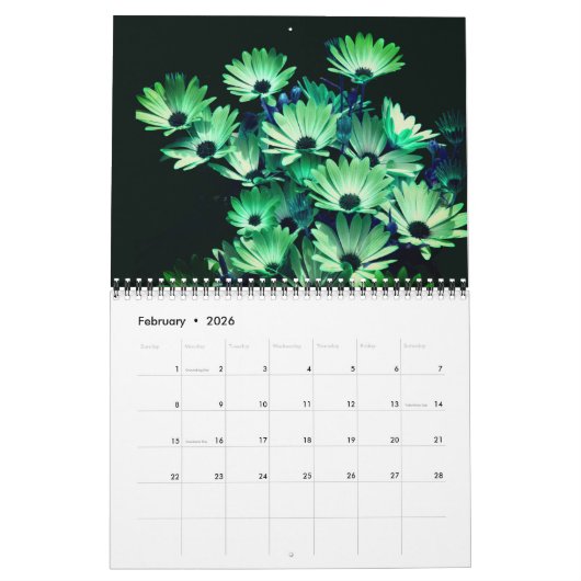 Flowers Of A Different Color Kalender (Feb 2026)