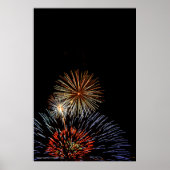 Flowers of Light Print Poster (Vorne)