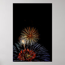 Flowers of Light Print