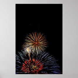 Flowers of Light Print Poster