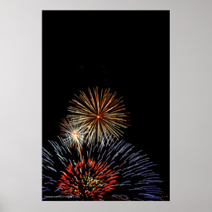 Flowers of Light Print Poster