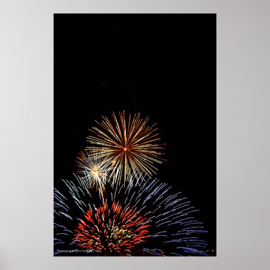 Flowers of Light Print Poster (Vorne)