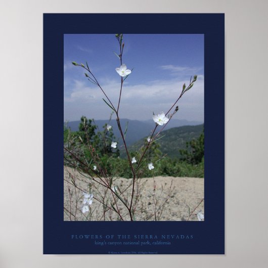 FLowers of the Sierra Nevadas Poster (Vorne)