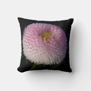 flowers on black - rosa Bellis Kissen