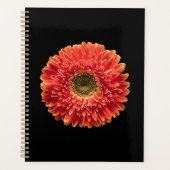 Flowers | Orange Gerbera Daisy Planer (Vorderseite)