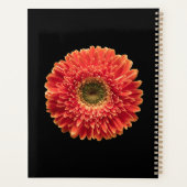 Flowers | Orange Gerbera Daisy Planer (Rückseite)